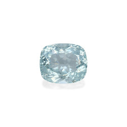海蓝宝 taille 靠垫 蓝天 9.87 carats