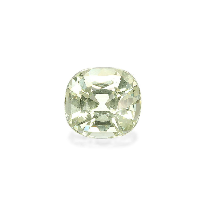 石榴石 taille 靠垫 淡绿色 3.17 carats