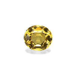 石榴石 taille 椭圆形 蜂蜜黄 8.76 carats