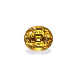 椭圆形石榴石，9.25克拉
