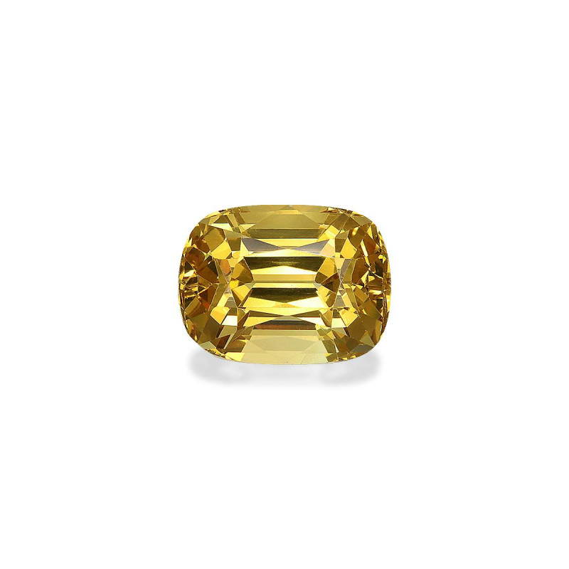 Granate Grosularia taille COUSSIN  5.85 carats