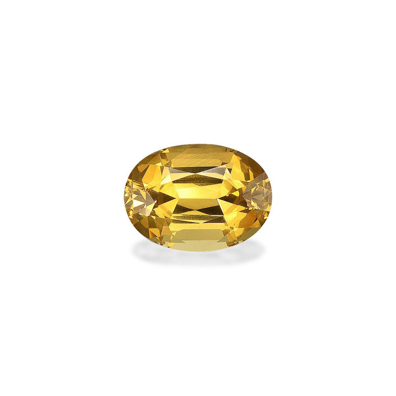 石榴石 taille 椭圆形 金丝雀黄 4.98 carats
