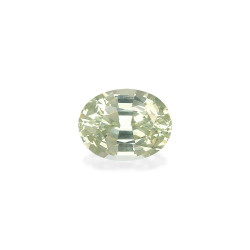石榴石 taille 椭圆形 淡绿色 8.50 carats