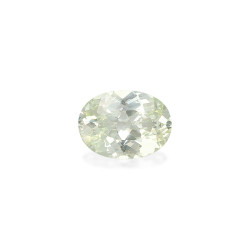 石榴石 taille 椭圆形 淡绿色 2.67 carats