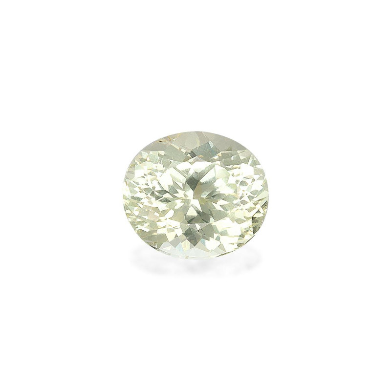 石榴石 taille 椭圆形 淡绿色 2.41 carats