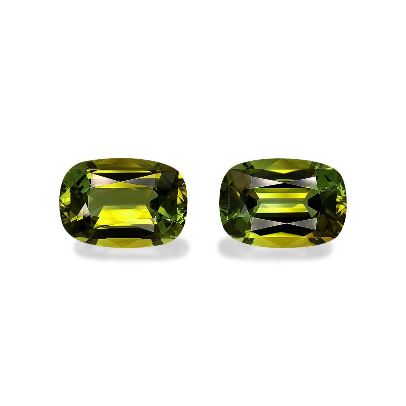 Tourmaline Cuivre taille COUSSIN Forest Green 49.71 carats