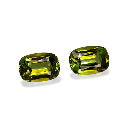 铜电气石 taille 靠垫 森林绿 49.71 carats