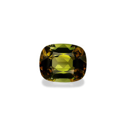 铜电气石 taille 靠垫 森林绿 6.02 carats