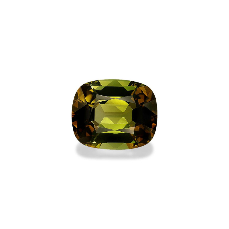 Turmalina Cobre taille COUSSIN Forest Green 6.02 carats
