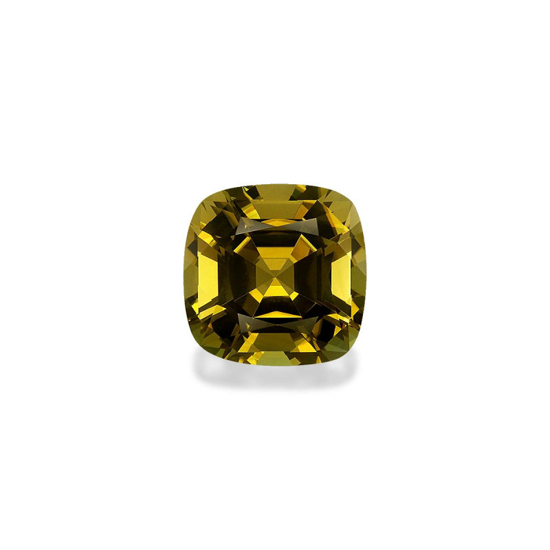 铜电气石 taille 靠垫 森林绿 3.88 carats