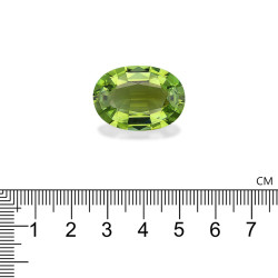 Ovale geslepen Lime Green Koper Toermalijn van 29,40 karaat