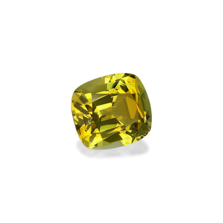 铜电气石 taille 靠垫 森林绿 4.96 carats