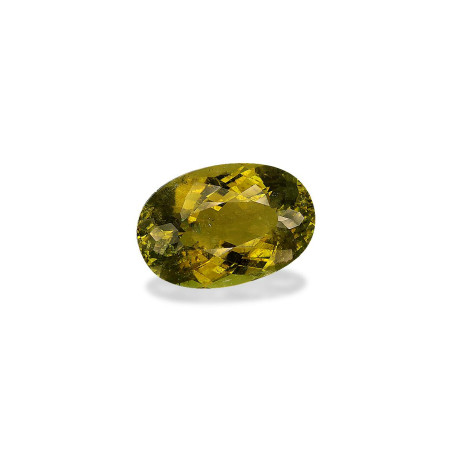 铜电气石 taille 椭圆形 橄榄绿 18.42 carats