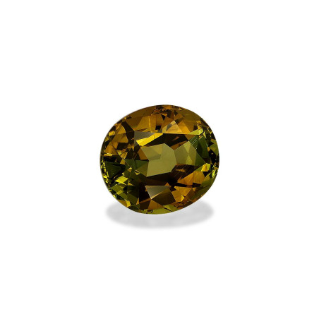 铜电气石 taille 椭圆形 森林绿 20.25 carats