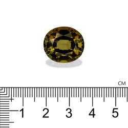 Ovale geslepen Forest Green Koper Toermalijn van 20,25 karaat