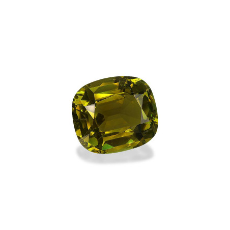 铜电气石 taille 靠垫 苔藓绿 18.99 carats