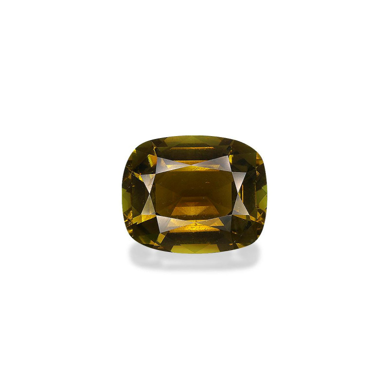 Turmalina Cobre taille COUSSIN Forest Green 14.32 carats
