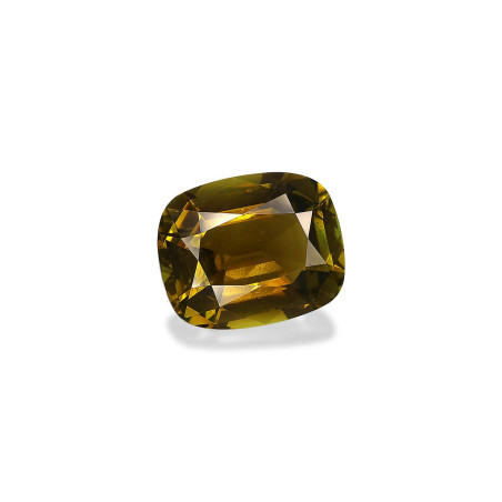 铜电气石 taille 靠垫 森林绿 14.32 carats