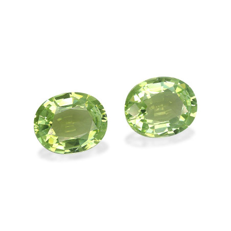 铜电气石 taille 椭圆形 青柠绿 27.24 carats