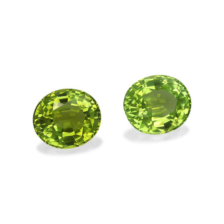 铜电气石 taille 椭圆形 青柠绿 24.09 carats