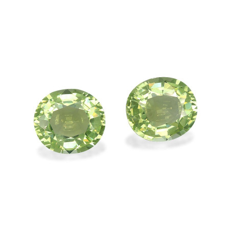 铜电气石 taille 椭圆形 开心果绿 17.28 carats