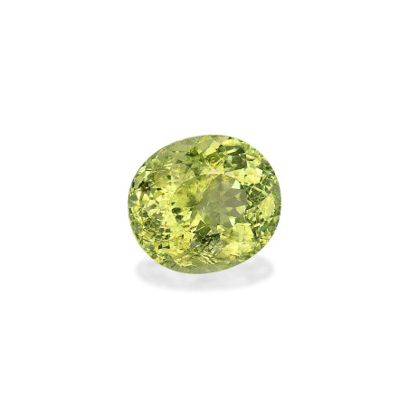 铜电气石 taille 椭圆形 淡绿色 5.29 carats