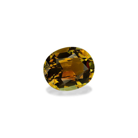 铜电气石 taille 椭圆形 森林绿 5.98 carats