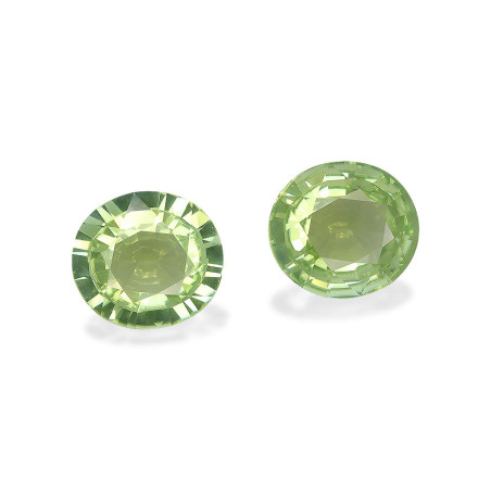 铜电气石 taille 椭圆形 开心果绿 23.79 carats
