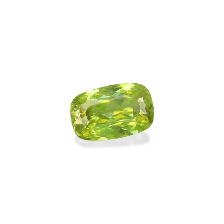 Esfena taille COUSSIN Vert Pâle 3.97 carats