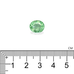 Ovale geslepen Lime Green Paraiba-toermalijn van 3,80 karaat