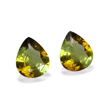 铜电气石 taille 梨子 森林绿 11.85 carats