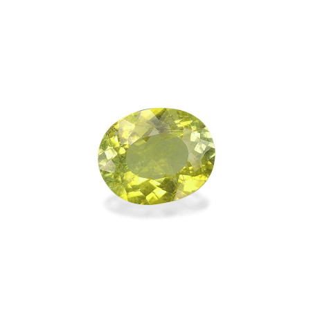 铜电气石 taille 椭圆形 青柠绿 3.02 carats