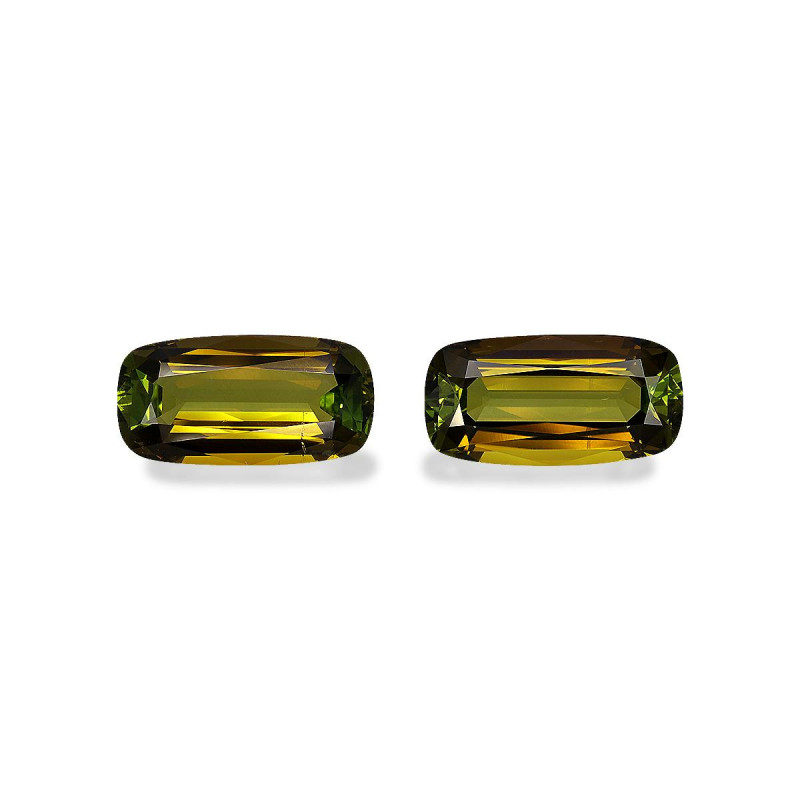Turmalina Cobre taille COUSSIN Forest Green 19.01 carats