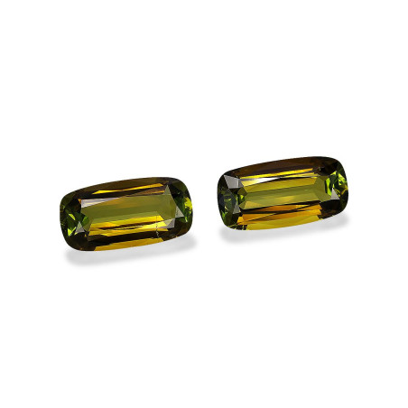 Turmalina Cobre taille COUSSIN Forest Green 19.01 carats