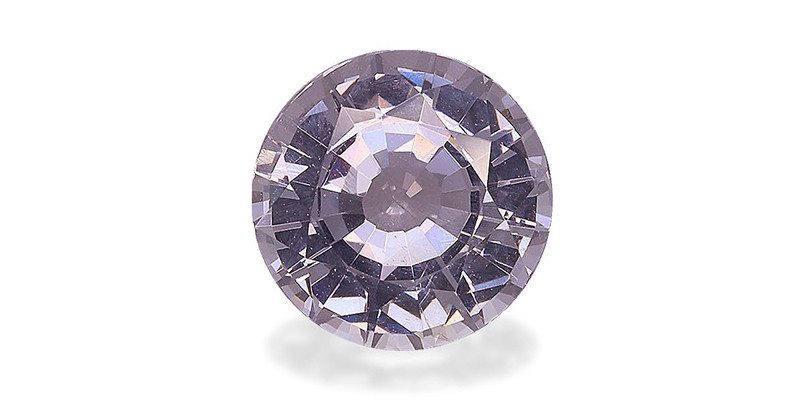 الإسبنيل الأرجواني