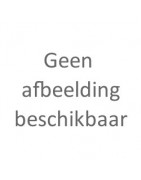 Gouden Oorbellen