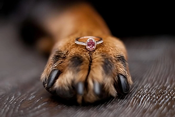 Fun facts about pink diamonds