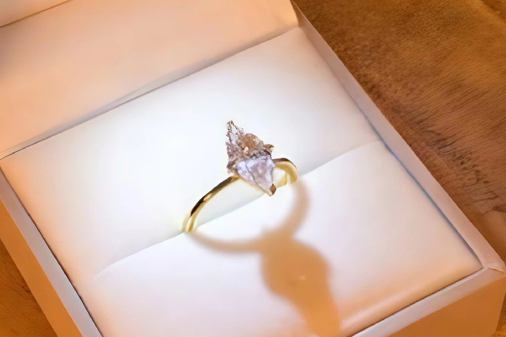 Bague d&rsquo;Exception &ndash; &Eacute;l&eacute;gance et &Eacute;clat Intemporel - Showroom Celinni Annecy