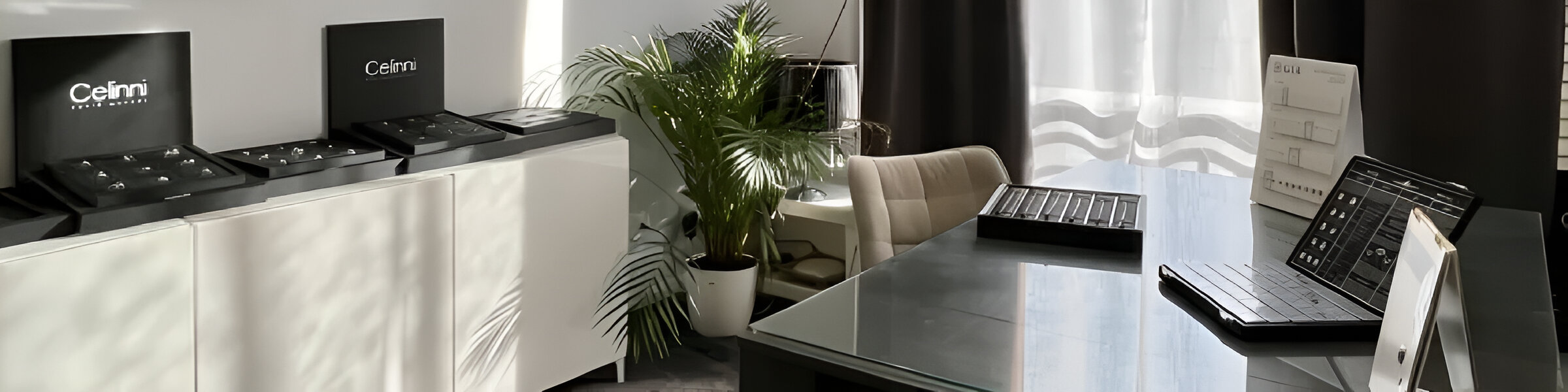 Celinni jewelry showroom