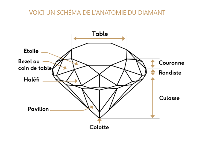 Un schéma de l'anatomie du diamant